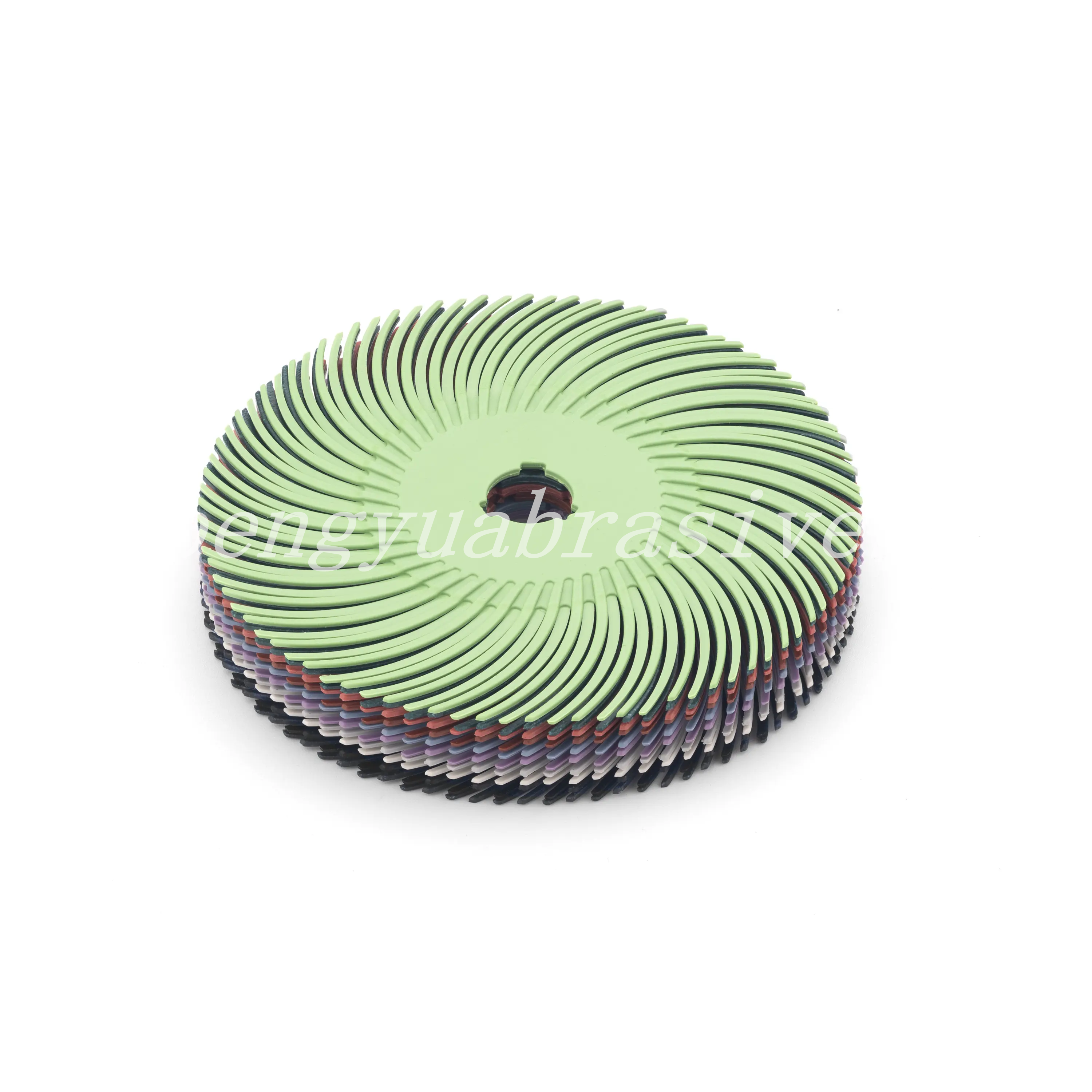 radial bristle disc4.png